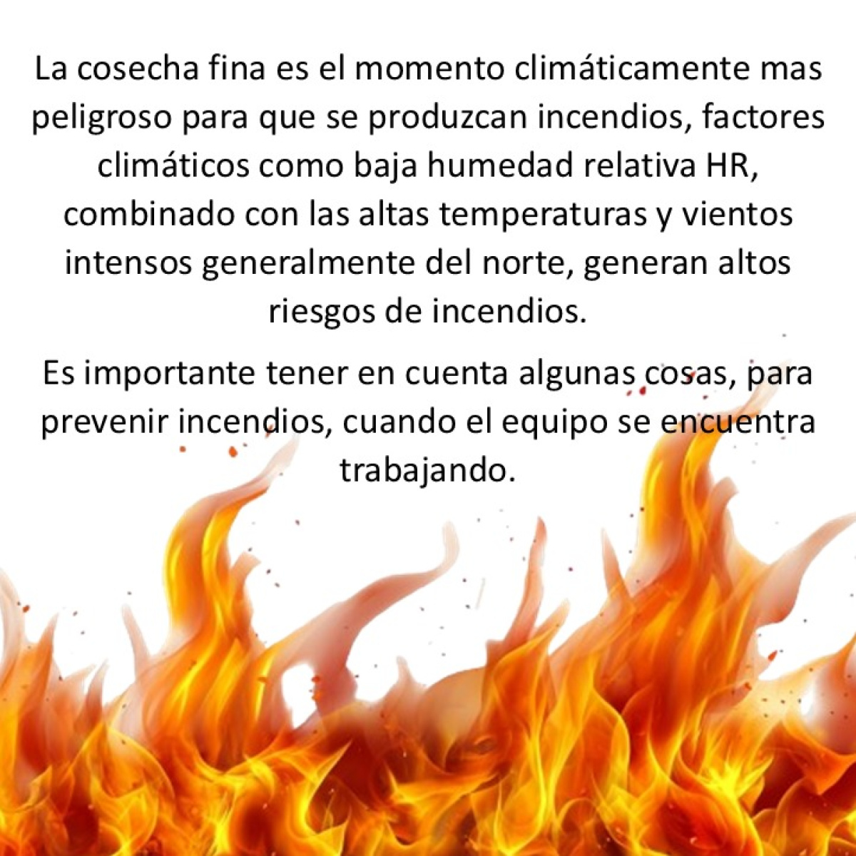 Informe del INTA sobre la prevención de incendios